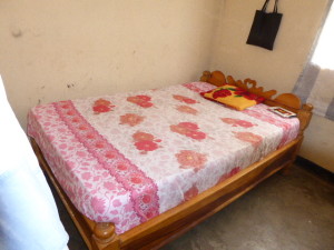 Chini Bed August 2014